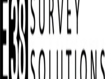 E38 Survey Solutions